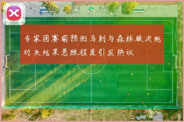 专家团赛前预测马刺与森林狼次轮对决结果悬殊程度引发热议