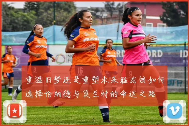 重温旧梦还是重塑未来猛龙该如何选择伦纳德与莫兰特的命运之路